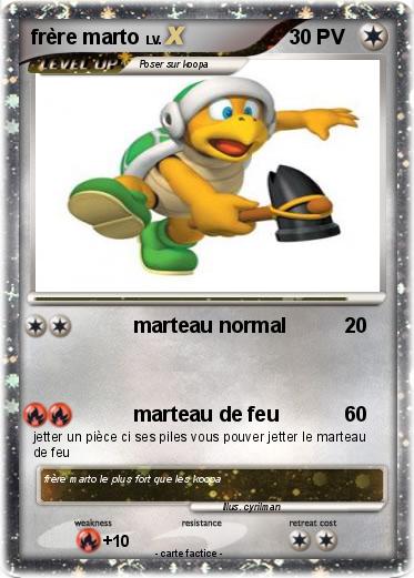 Pokemon frère marto