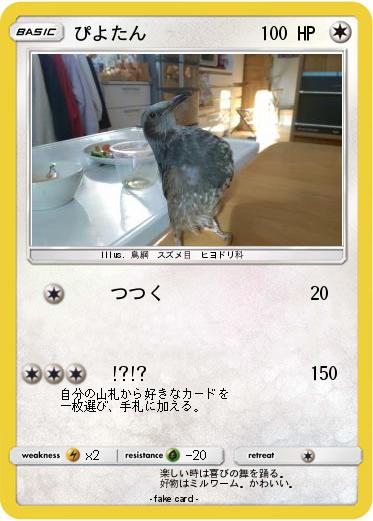 Pokemon ぴよたん