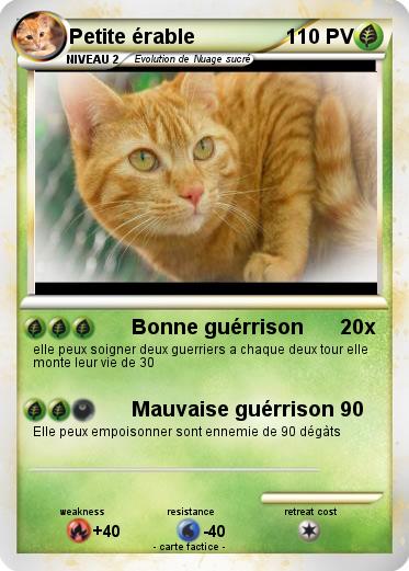 Pokemon Petite érable