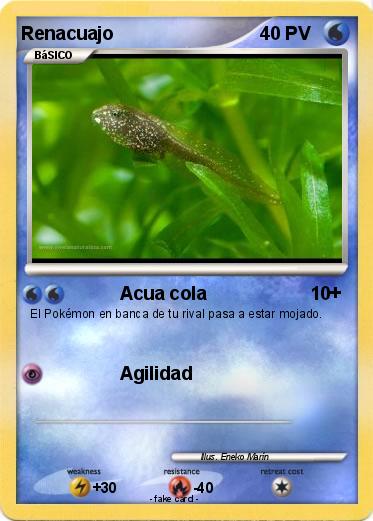 Pokemon Renacuajo