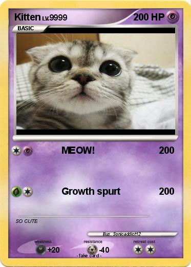 Pokemon Kitten