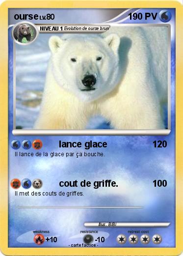 Pokemon ourse
