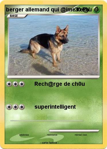 Pokemon berger allemand qui @ime l'e@u