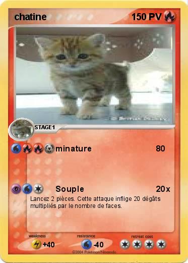 Pokemon chatine