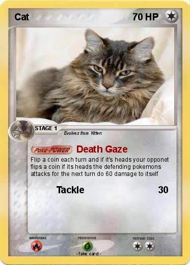 Pokemon Cat