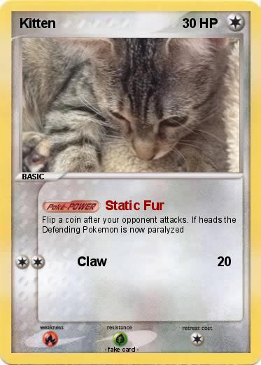 Pokemon Kitten