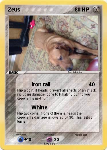 Pokemon Zeus