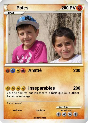 Pokemon Potes