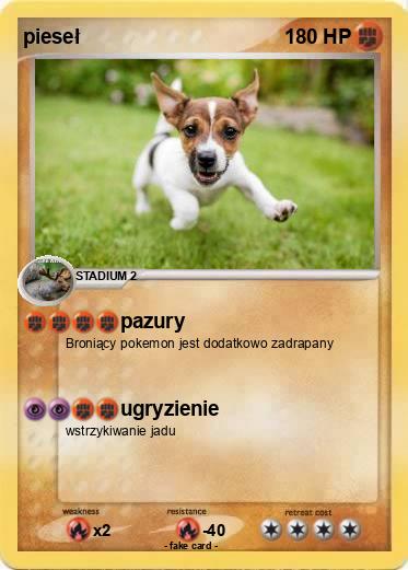 Pokemon pieseł
