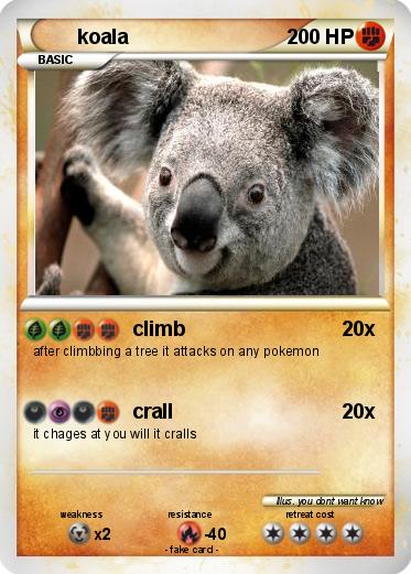 Pokemon koala