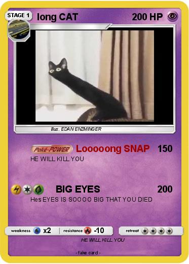 Pokemon long CAT
