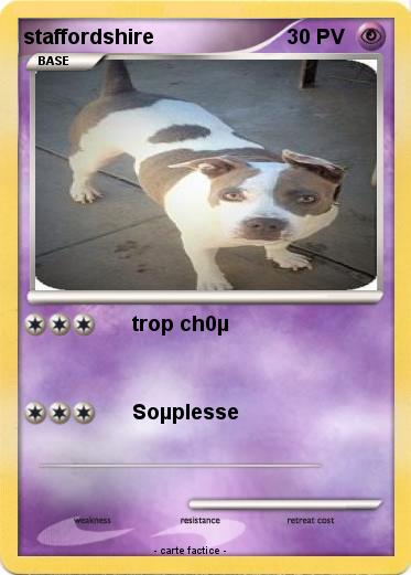 Pokemon staffordshire