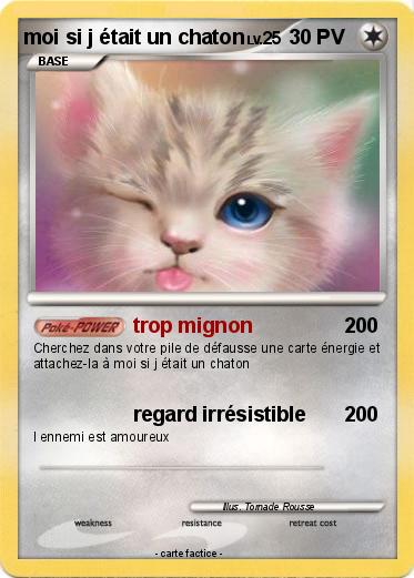 Pokemon moi si j était un chaton