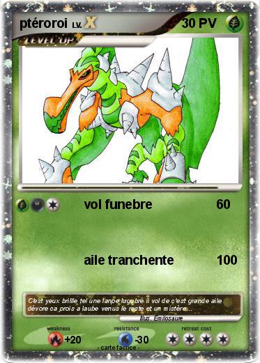 Pokemon ptéroroi