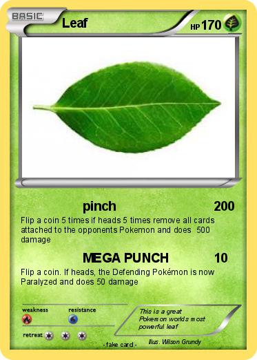Pokemon Leaf