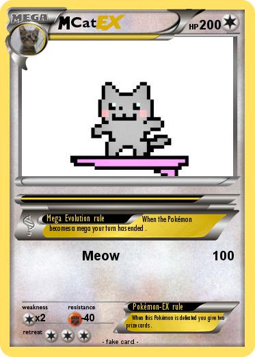 Pokemon Cat