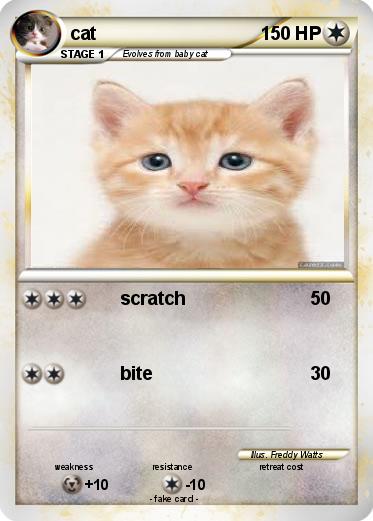 Pokemon cat