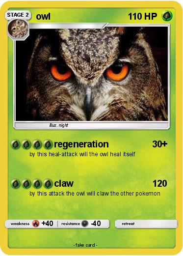 Pokemon owl