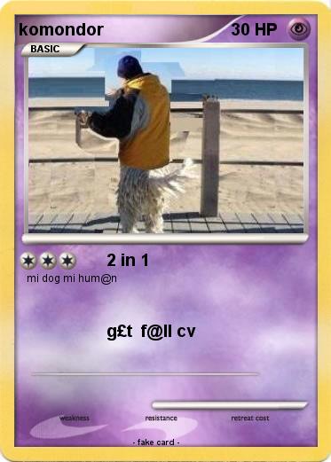 Pokemon komondor