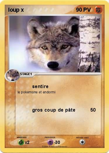 Pokemon loup x