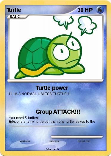 Pokemon Turtle