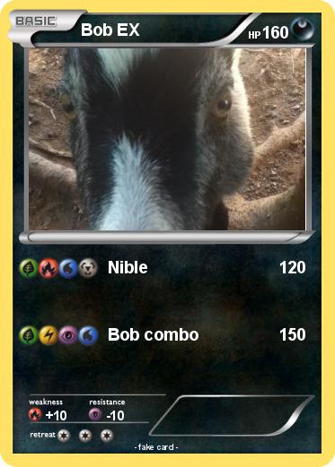 Pokemon Bob EX