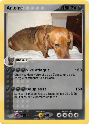Pokemon Antoine