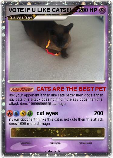 Pokemon VOTE IF U LIKE CATS!!!