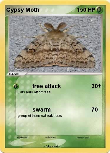 Pokemon Gypsy Moth