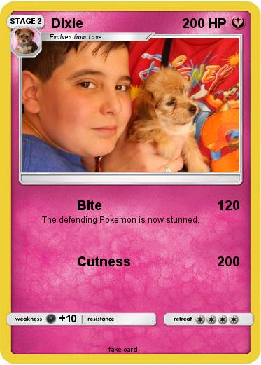 Pokemon Dixie
