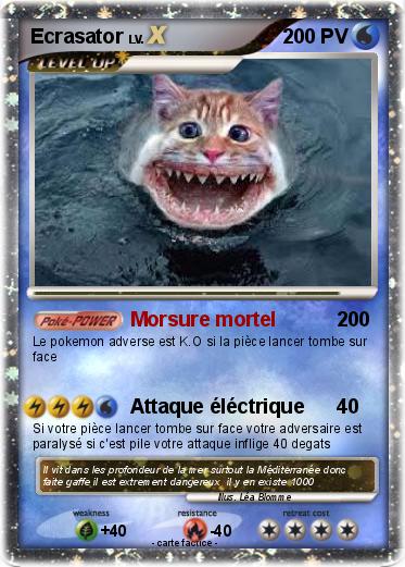 Pokemon Ecrasator