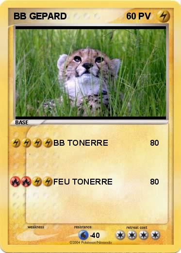 Pokemon BB GEPARD