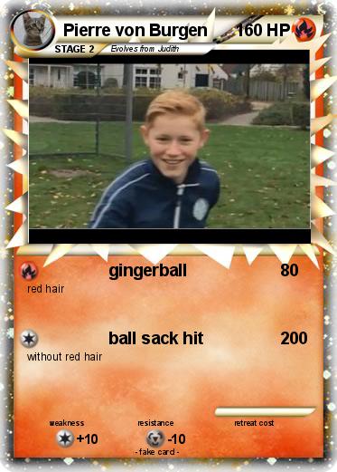 Pokemon Pierre von Burgen