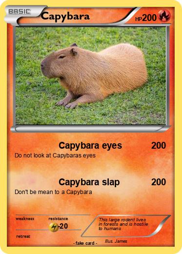 Pokemon Capybara