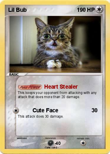 Pokemon Lil Bub