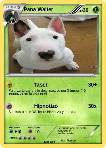 Pokemon Pana Walter