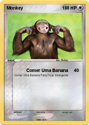 Pokemon Monkey