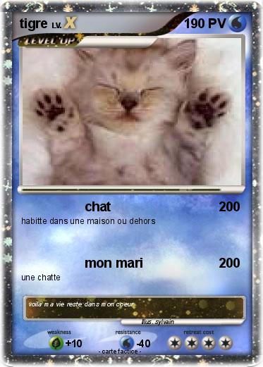 Pokemon tigre