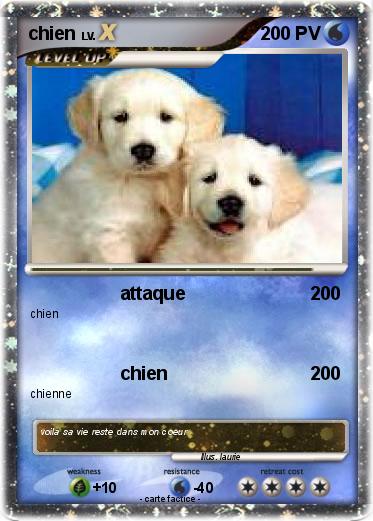 Pokemon chien