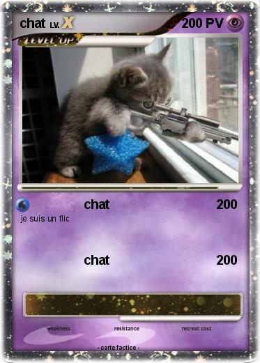 Pokemon chat