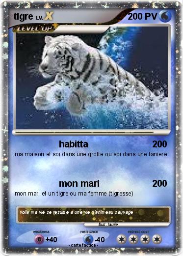 Pokemon tigre