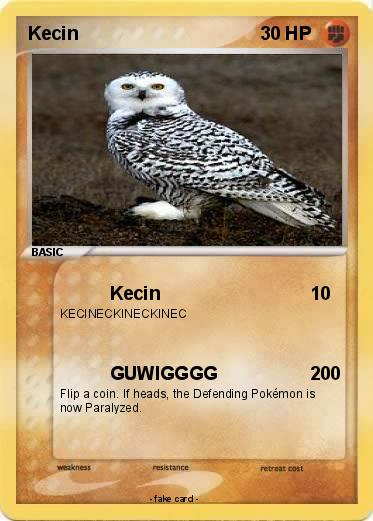 Pokemon Kecin