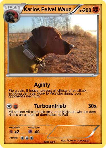 Pokemon Karlos Feivel Wauz