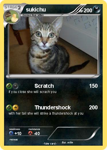 Pokemon sukichu