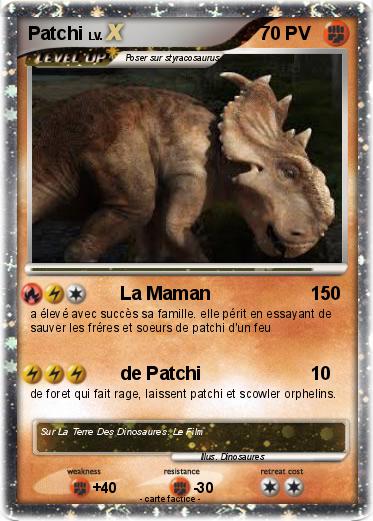 Pokemon Patchi