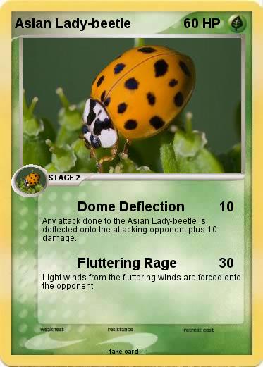 Pokemon Asian Lady-beetle