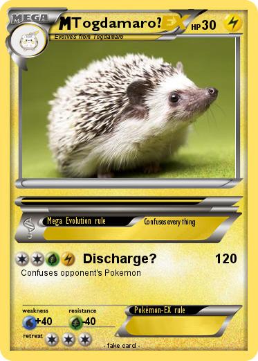 Pokemon Togdamaro?