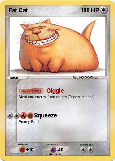 Pokemon Fat Cat