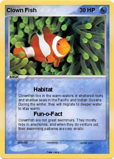 Pokemon Clown Fish