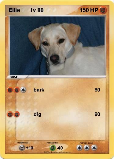 Pokemon Ellie       lv 80